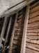IMG-20260130-WA0000