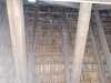 IMG-20260130-WA0020